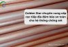 Golden Star chuyên cung cấp cọc tiếp địa đảm bảo an toàn cho hệ thống chống sét